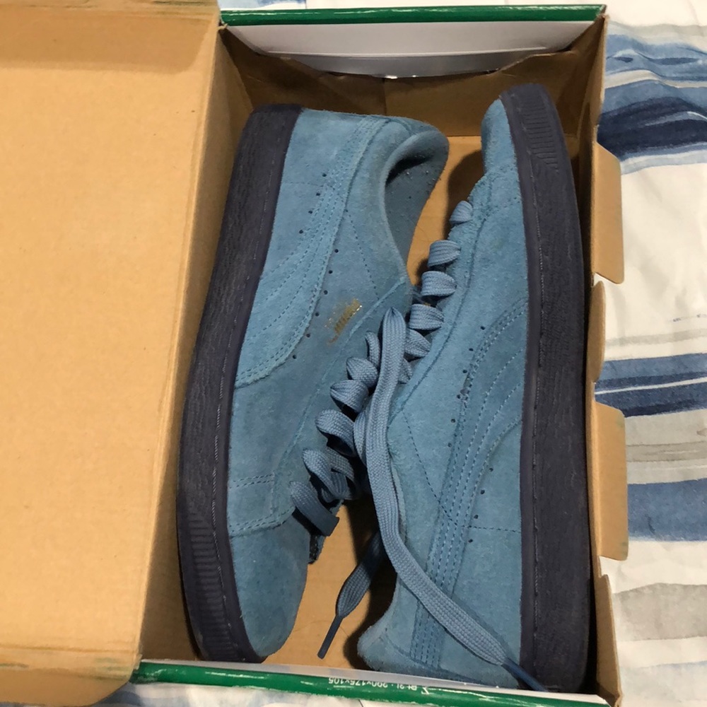 Blue pumas